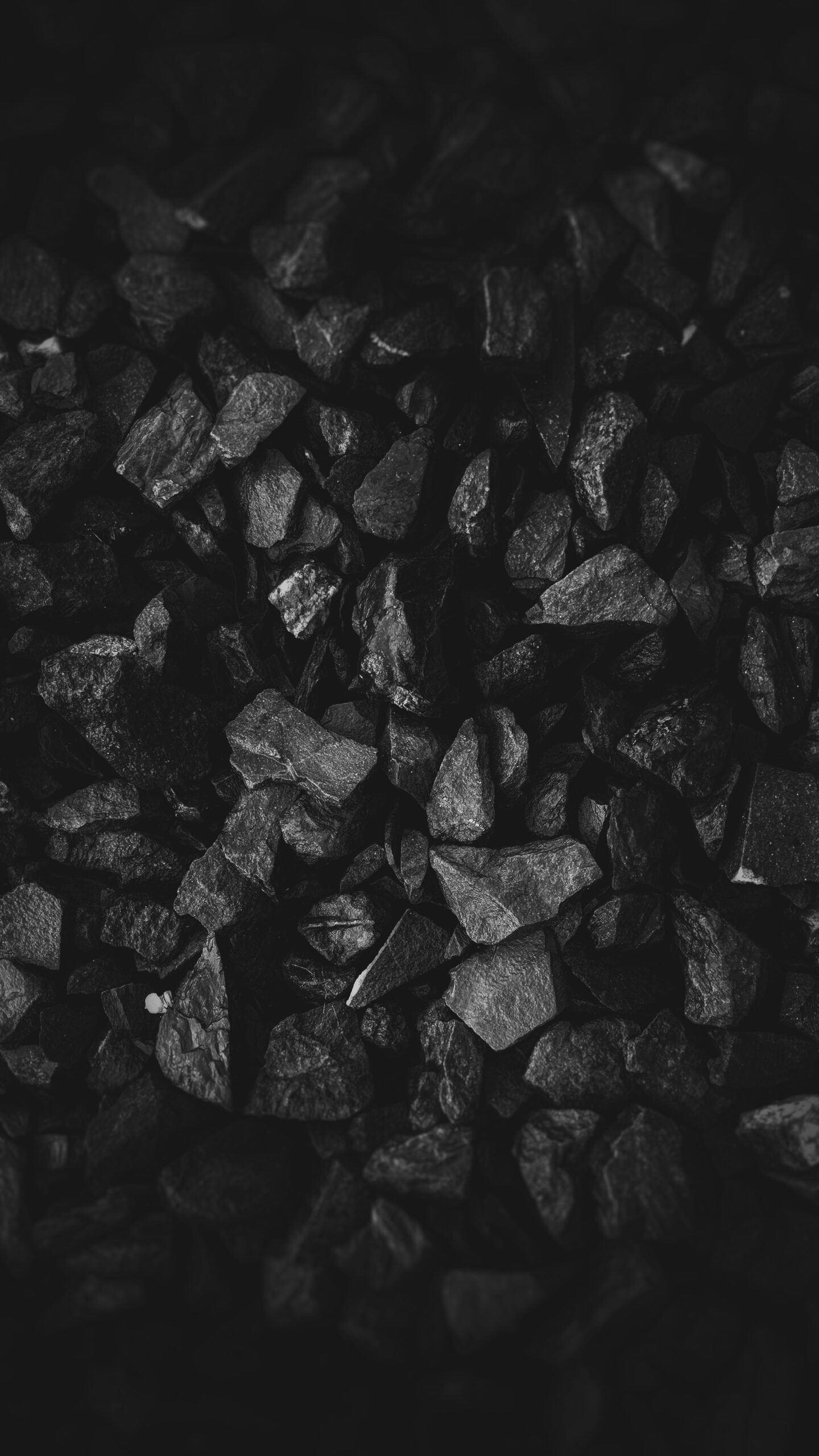 Mining Rights Management